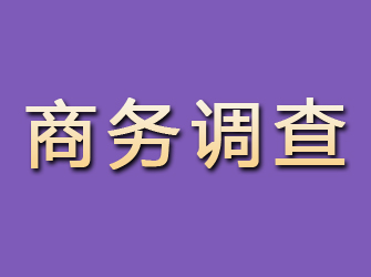 枣强商务调查